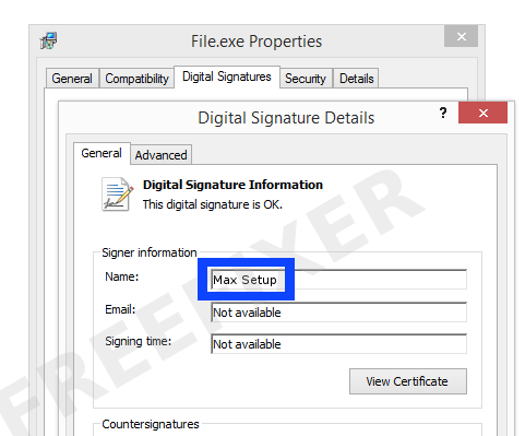 Screenshot of the Max Setup certificate